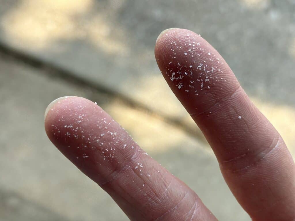 polypropylene microplastics