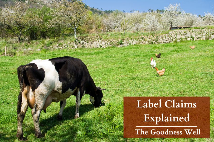 a cow and chickens grazing on a field