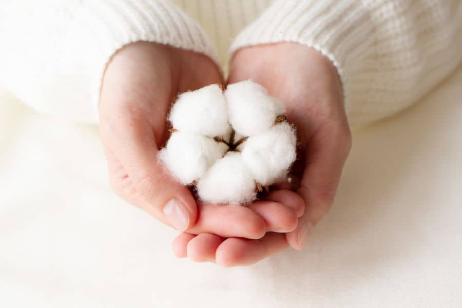 balls of cotton in a hand