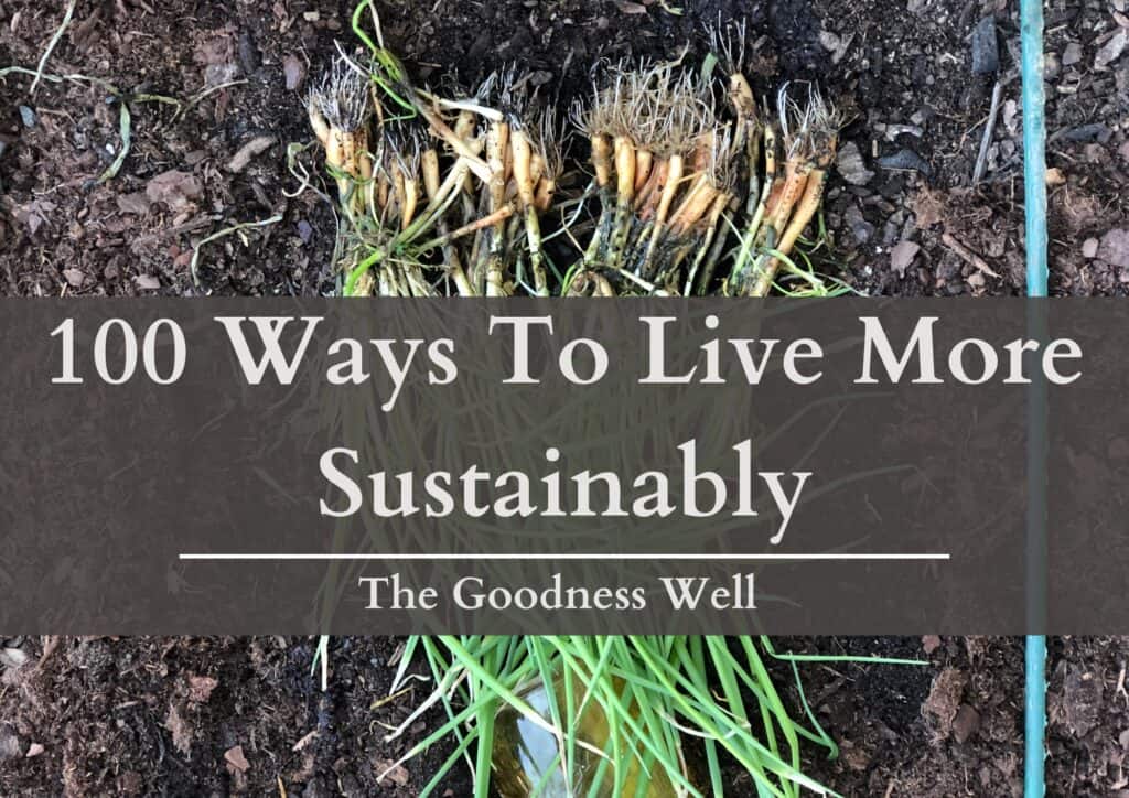 100 Ways To Live More Sustainably | Simple & Practical Tips - The ...