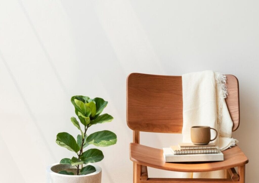 a solid wood chair next to a plant