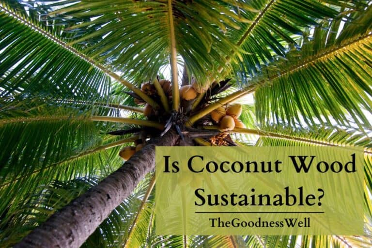 coconut wood sustainability