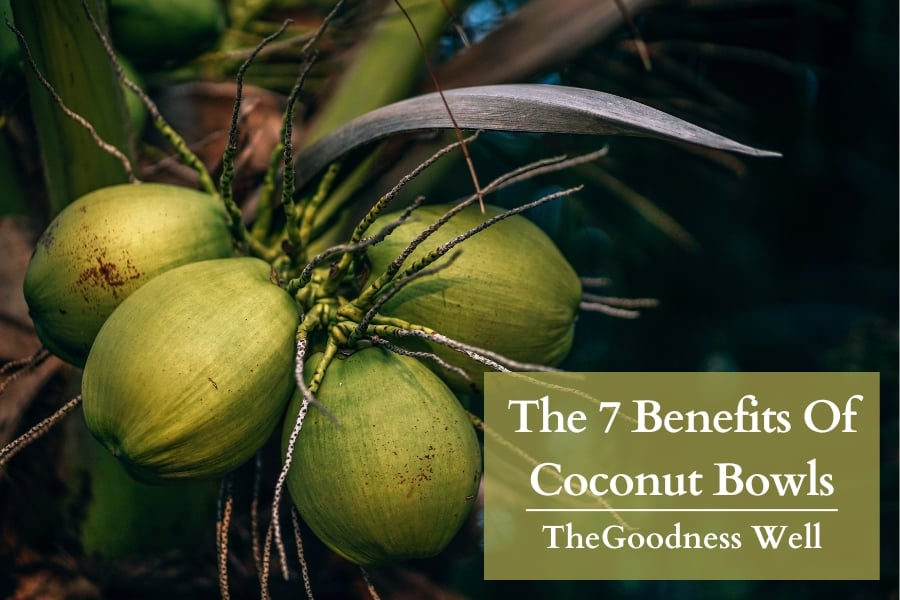 Benefits Of Coconut Bowls