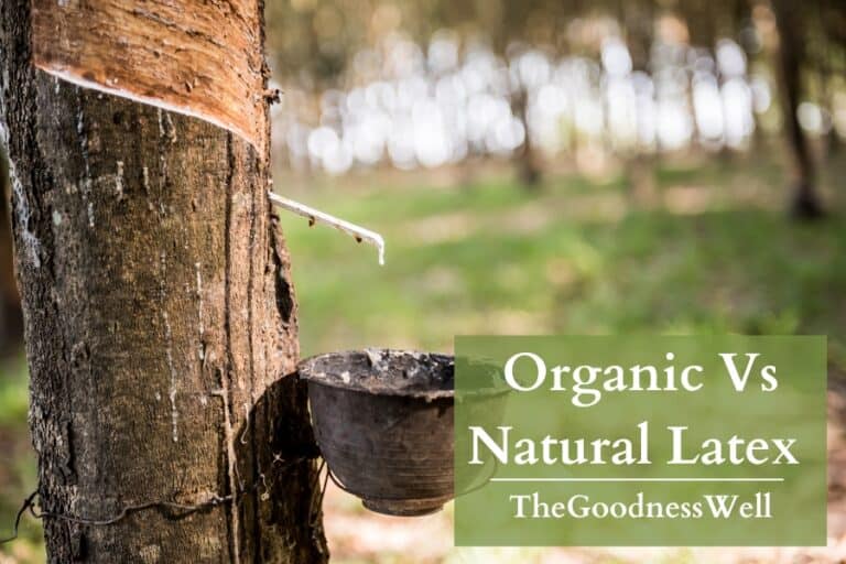 Organic vs Natural Latex: The Difference You Need To Know