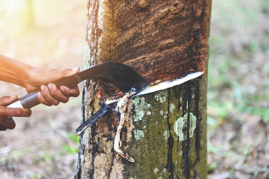 a tree being chopped with an ax