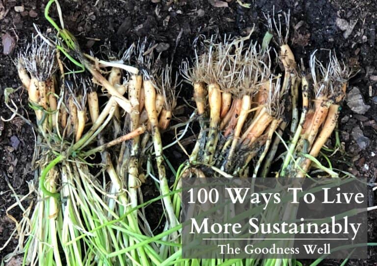 100 Ways To Live More Sustainably | Simple & Practical Tips