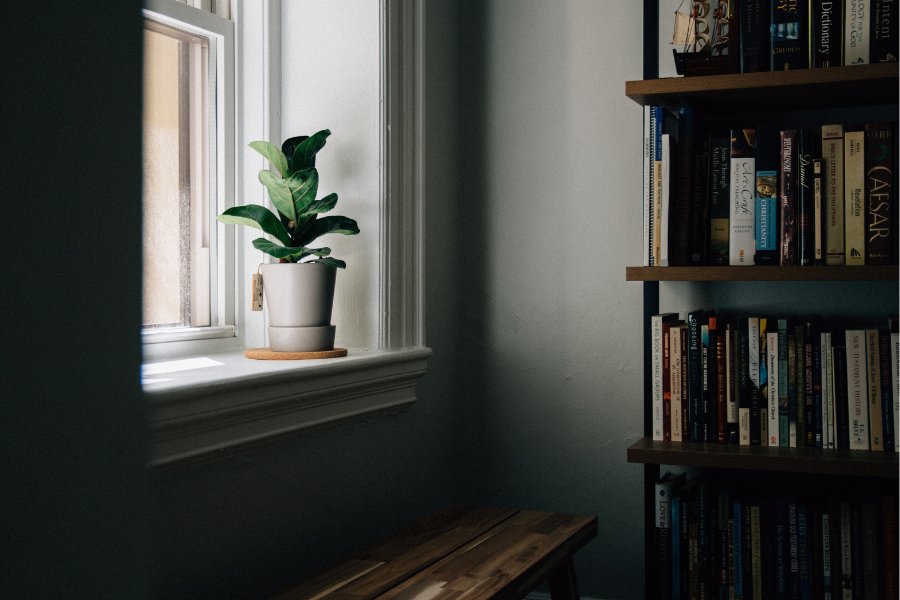 bookshelf by a window