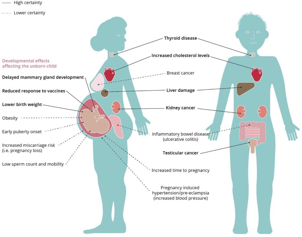 negative health effects of pfas on humans