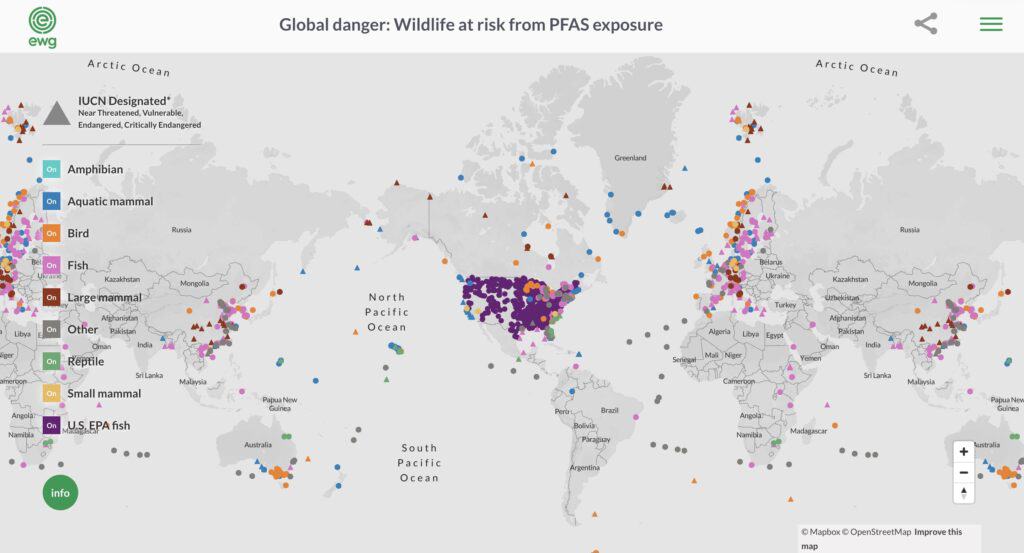 Map showing global wildlife at risk from  pfas exposure
