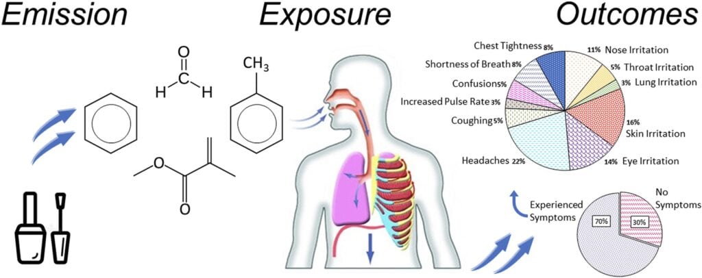 an info graph depicting the health effects of pfas