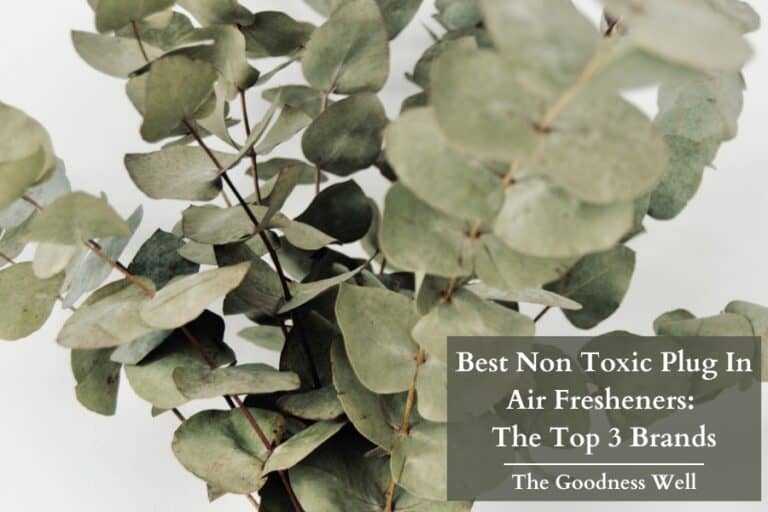The 3 Best Non Toxic Plug In Air Freshener Options