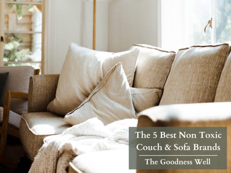 The 5 Best Non Toxic Couch & Sofa Brands in 2024