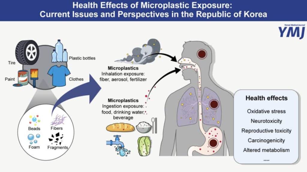 infographic depicting health effects of microplastics