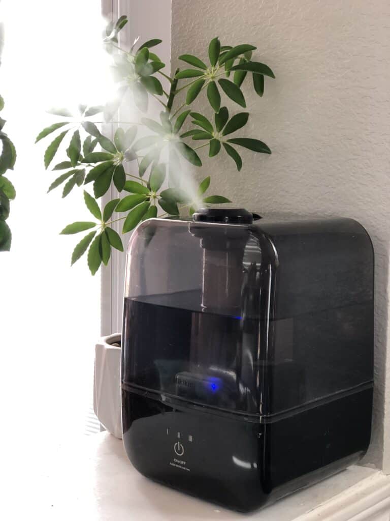 humidifier in our home