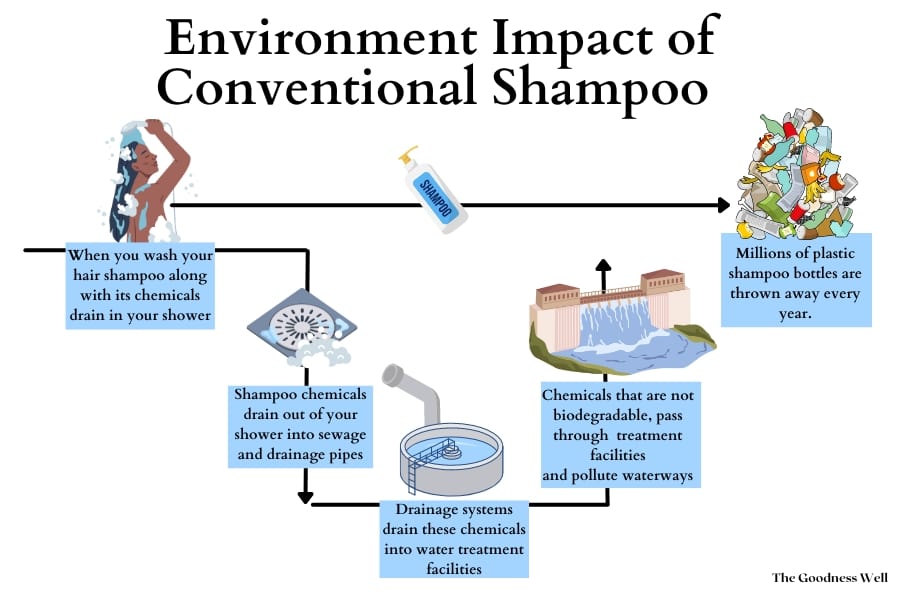 infographic showing the timeline of the Environmental Impact of conventional shampoo