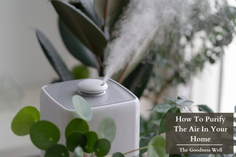 an air purifier surrounded by plants