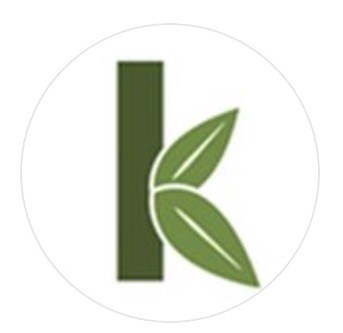 seek bamboo brand logo
