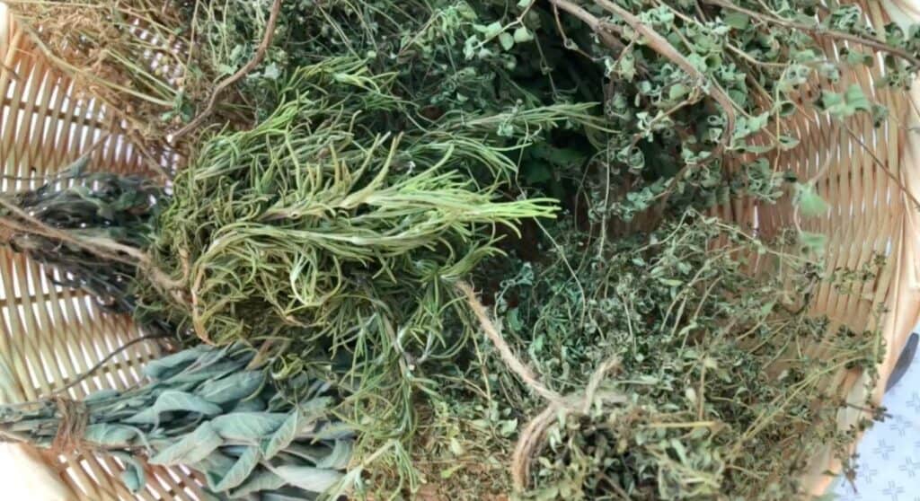 dried out herbs