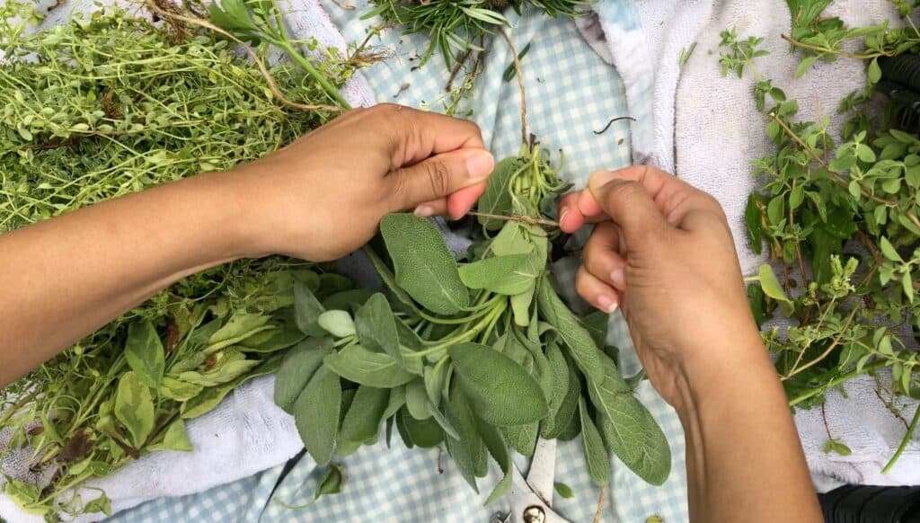 tying herbs