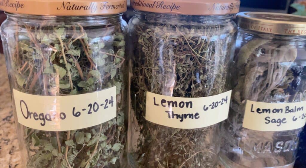 dried herbs stored in a jars