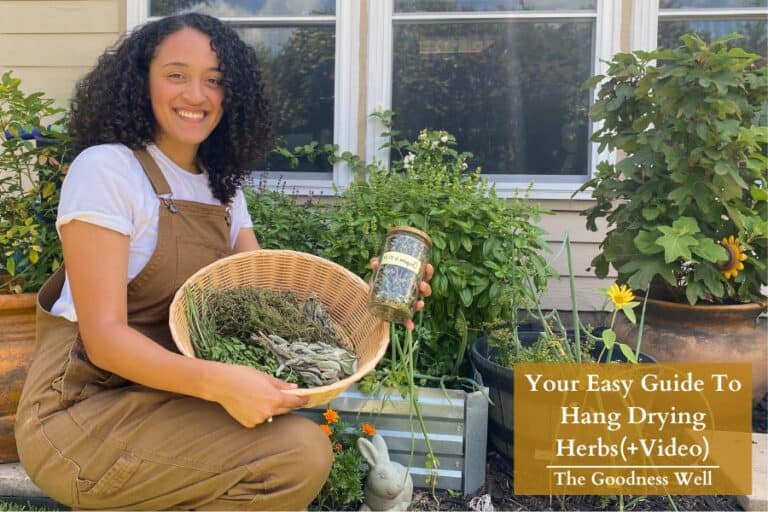 hung dried herbs