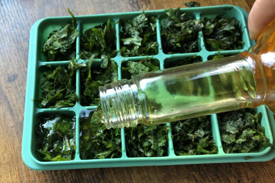 adding oil to chopped herbs in ice trays