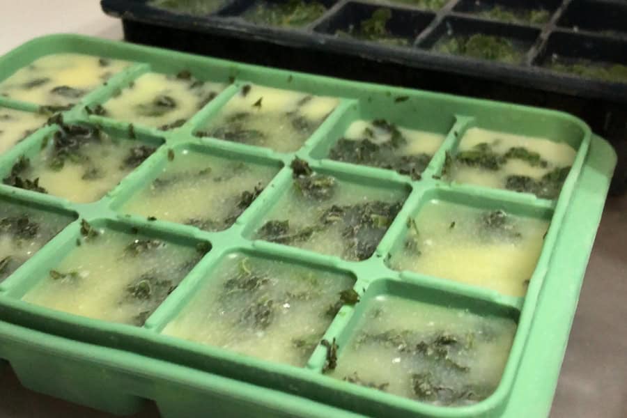 frozen herbs in ice trays