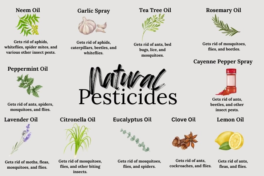 infographic showing how different natural pesticides are effective against different bugs