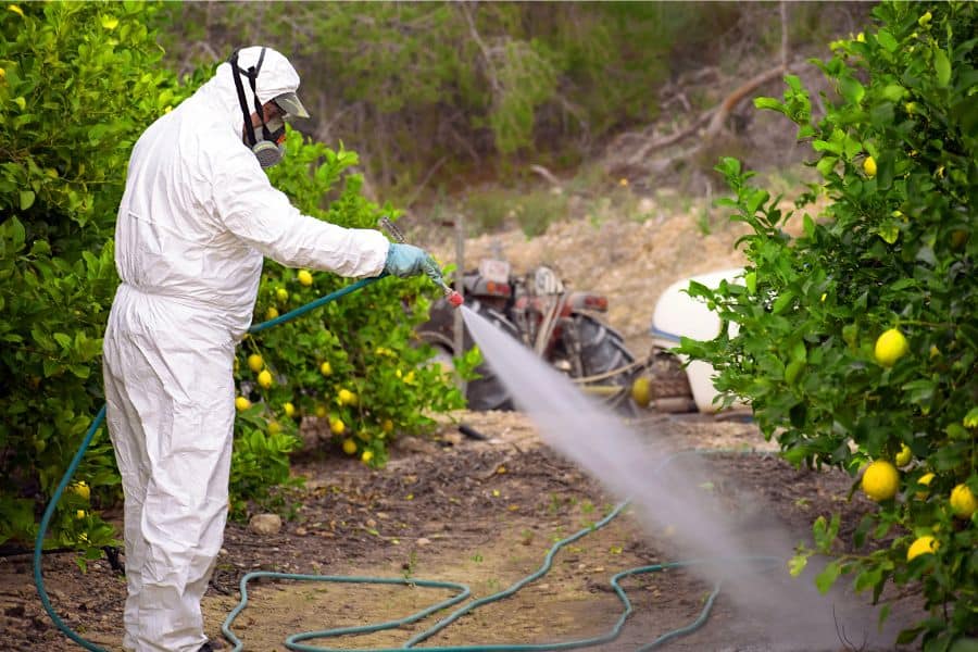 pesticides being sprayed on the ground