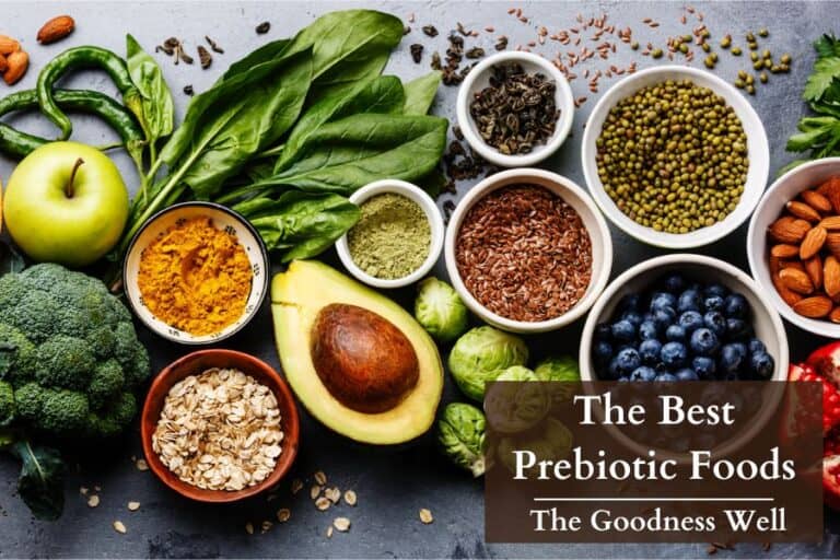 prebiotic foods