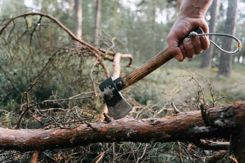 a man chopping wood