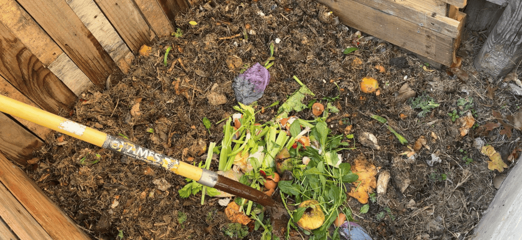 emptying our compost bin