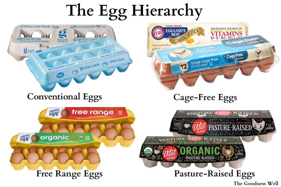 different types of eggs