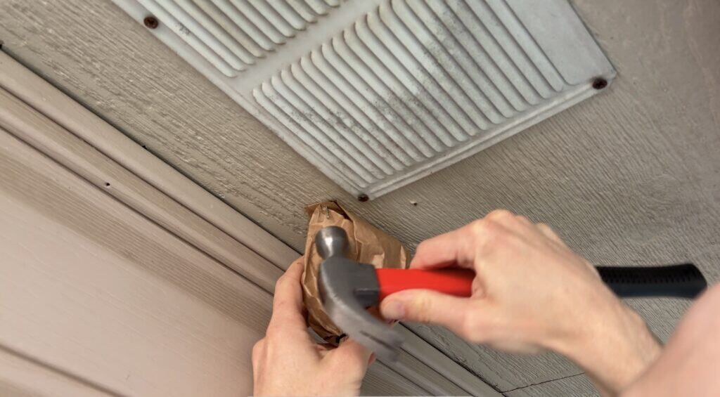 nailing fake wasps nests to siding