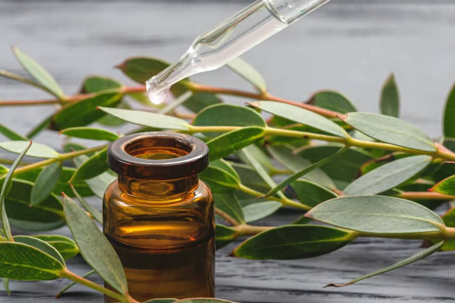 an essential oil bottle next to leaves