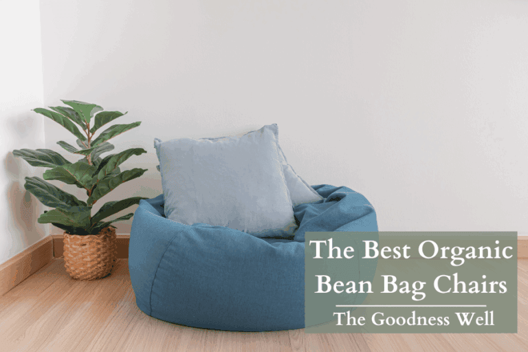 organic bean bag chair