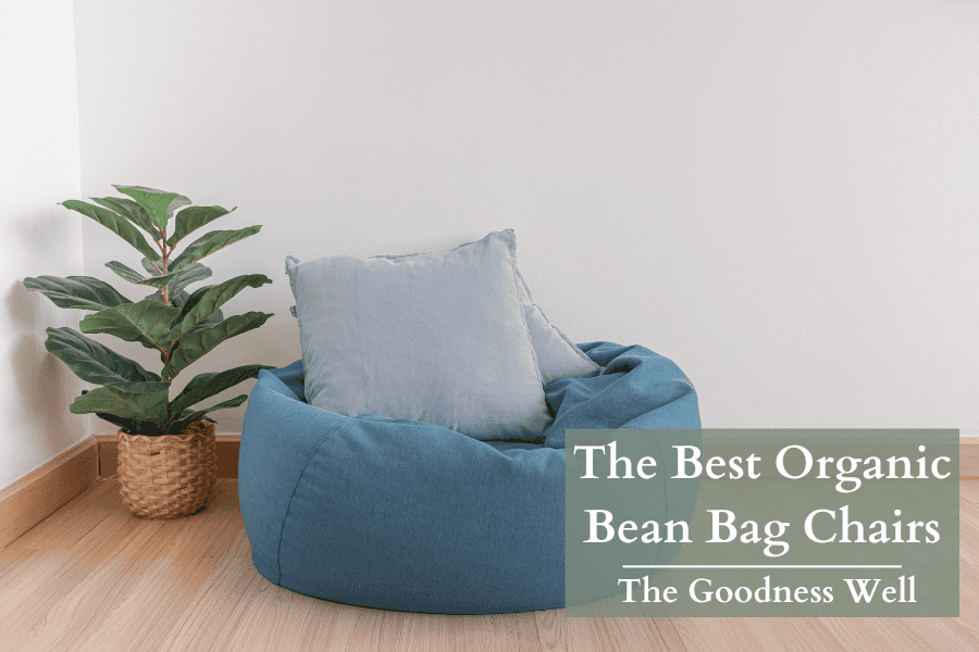 eco friendly bean bag chair