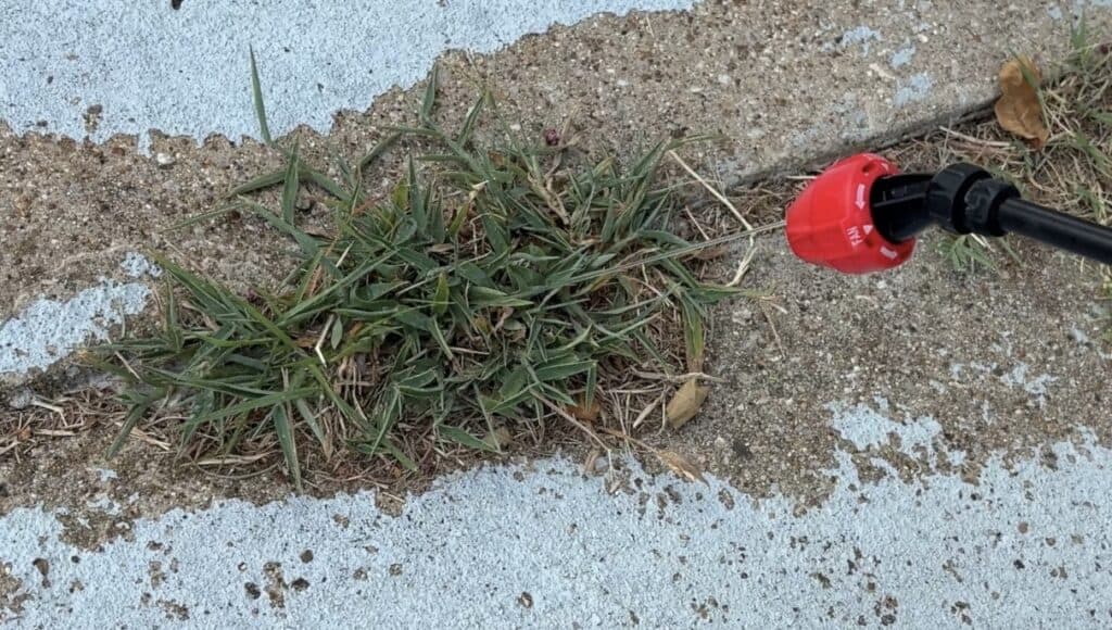 using natural weed killer on grass in a driveway