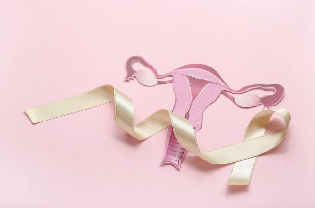 female reproductive system on a soft pink background