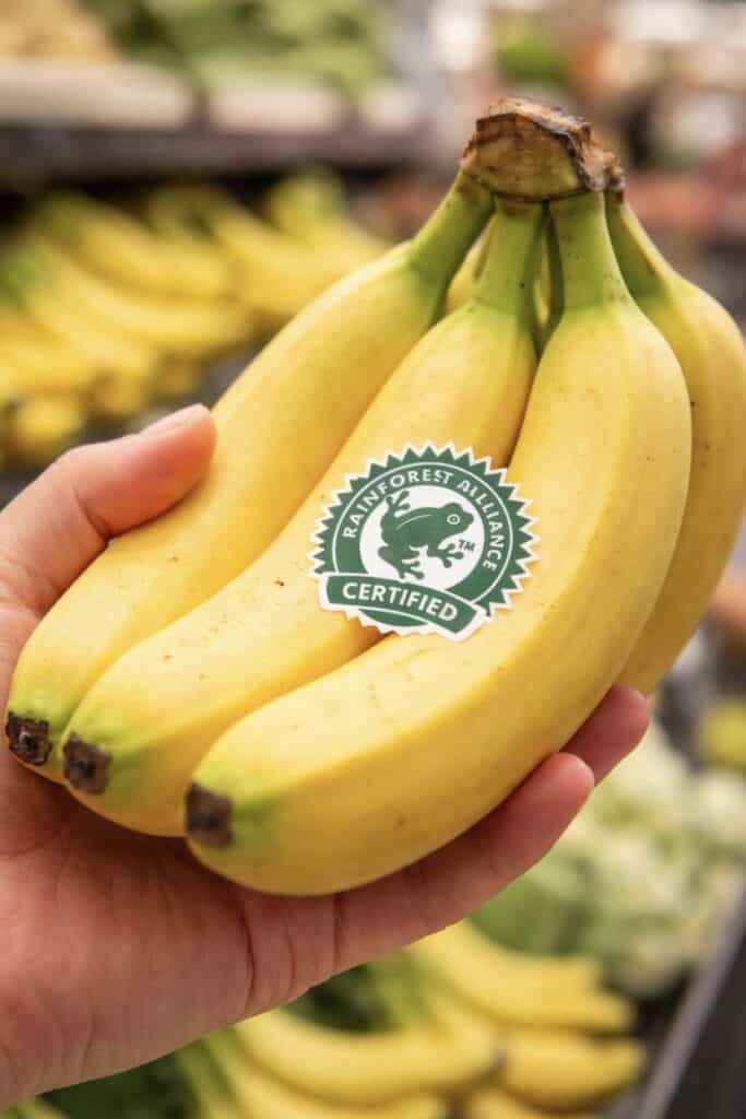 holding a bunch of bananas with a Rainforest Alliance Certified frog seal sticker in a grocery store produce section