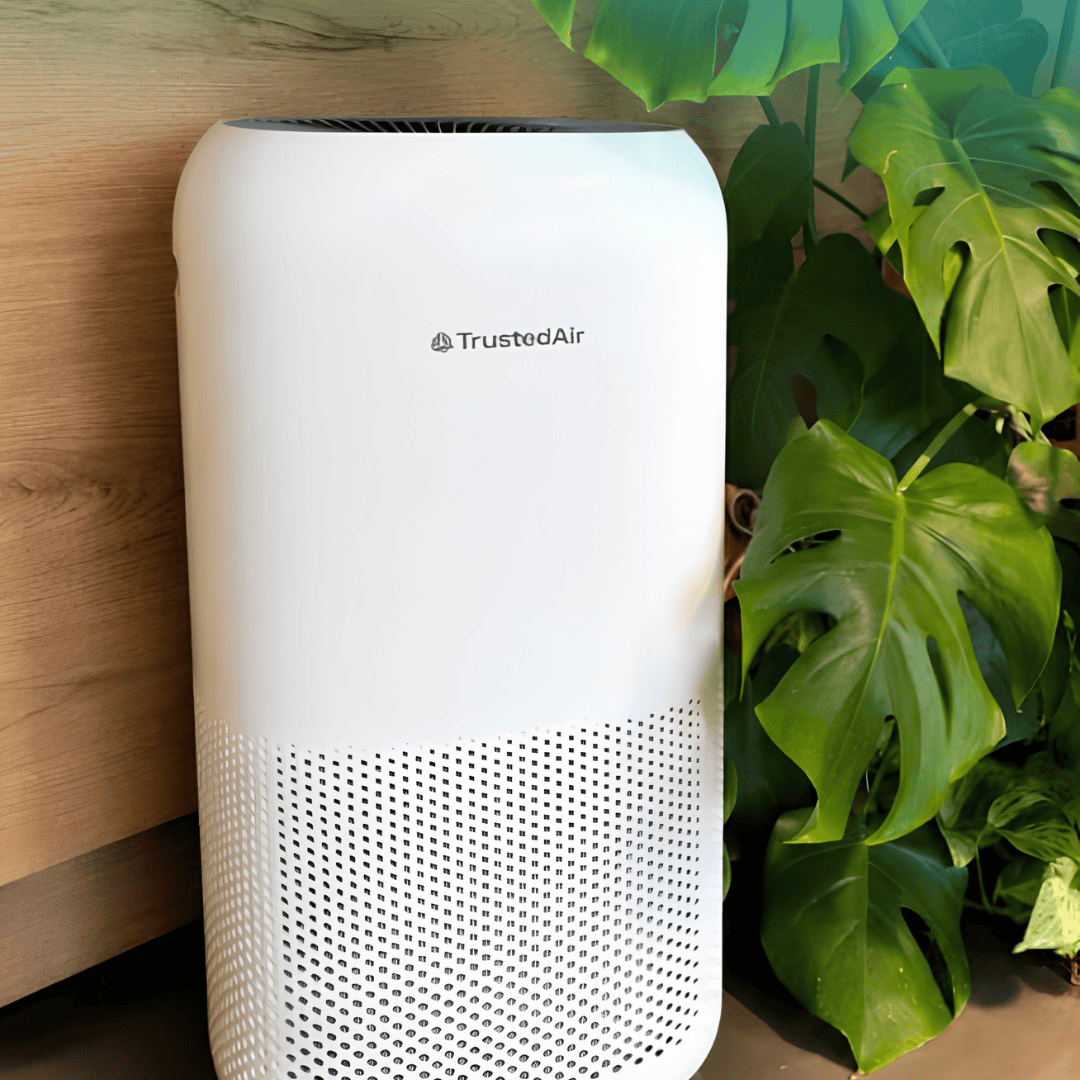 White TrustedAir purifier beside a leafy houseplant