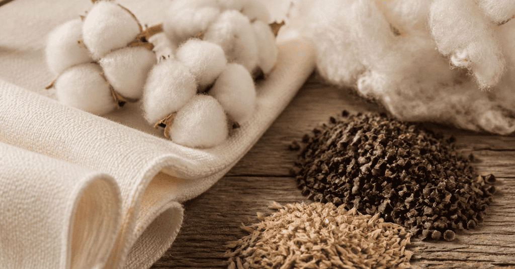Organic cotton fabric, cotton bolls, natural fiber filling, and buckwheat hulls on a wooden surface.